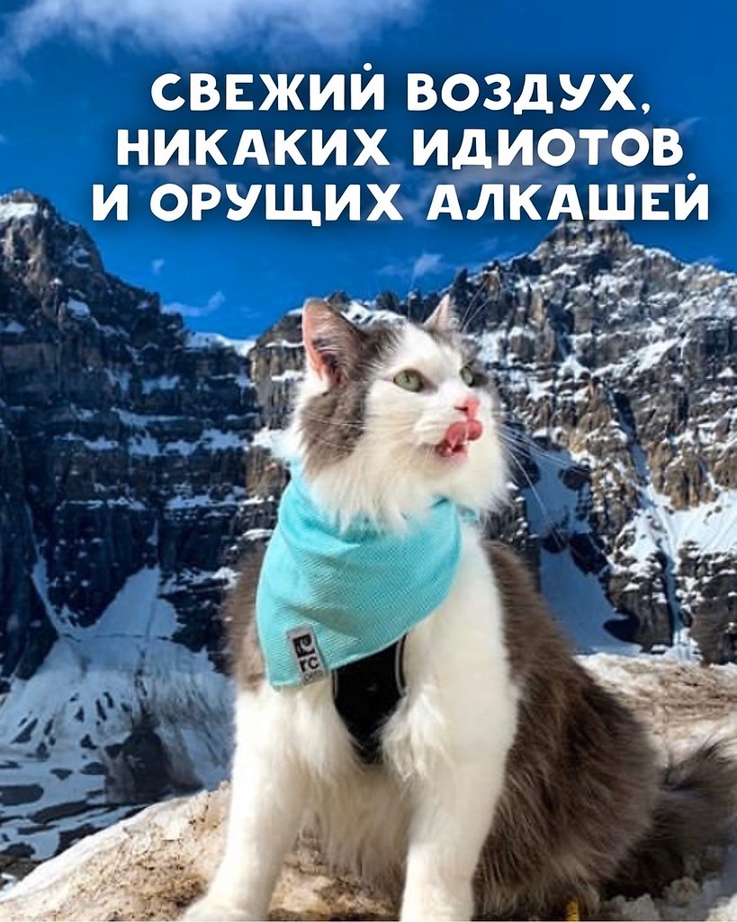     - 7
