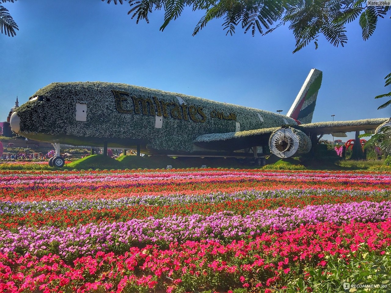   Dubai Miracle Garden - 5