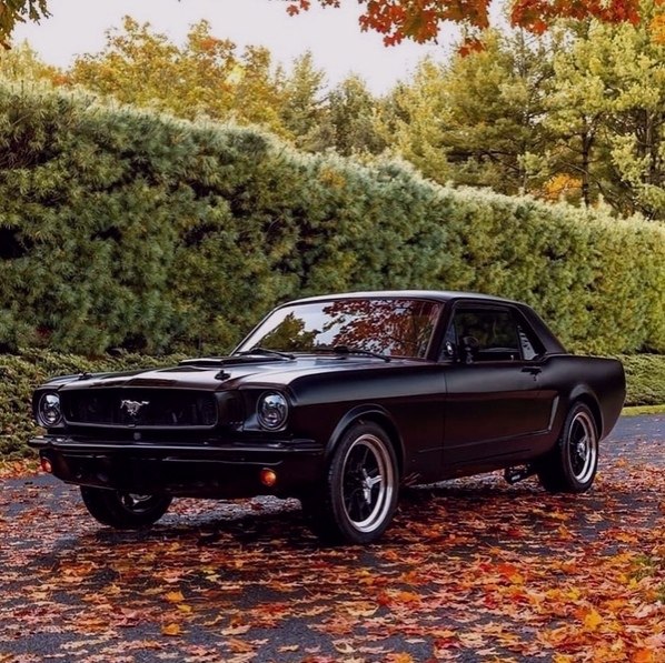1965 Mustang Coup