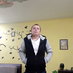 ����, ������, 41 ���