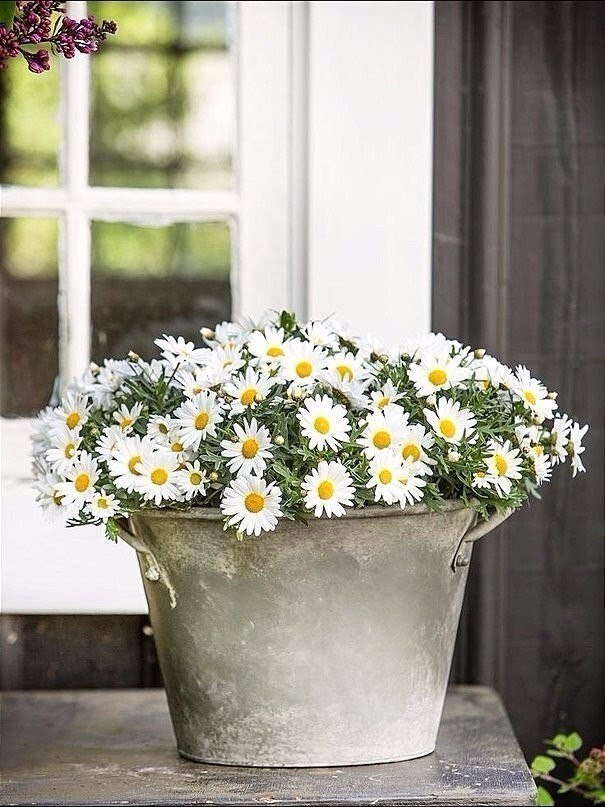 ПРИВЕТСТВИЯ и ПОЖЕЛАНИЯ, открытки на каждый день. - 11 апреля 2020 в 15:39 - 4