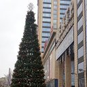 ���� ������, �������, 74 ���� - ��������� 6 ������� 2020 � ������ ���� ����������