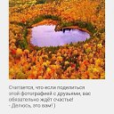 ���� ������, ����-���, 49 ��� - ��������� 11 ������ 2020 � ������ ���� ����������