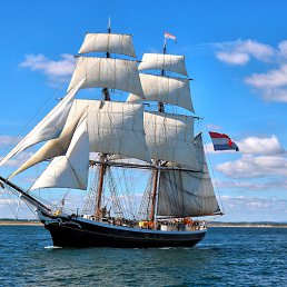 ���� �����, �������, 55 ��� - ��������� 22 ������ 2020