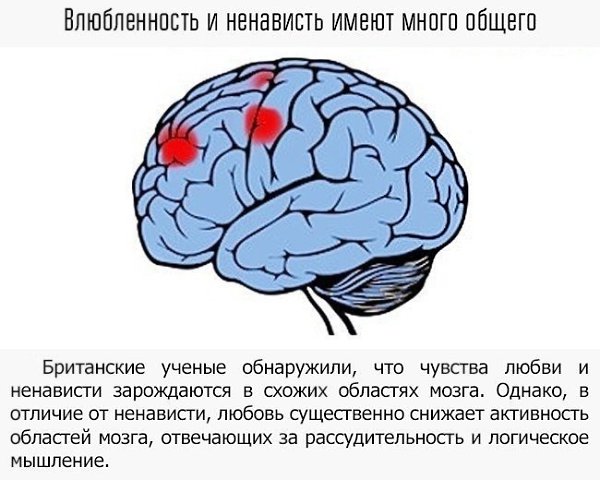 Многие повседневные привычки по-своему влияют на наш мозг.и только нам решать, как хорошо он будет ... - 4
