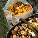 ���� �����, ������, 59 ��� - ��������� 24 ���� 2020