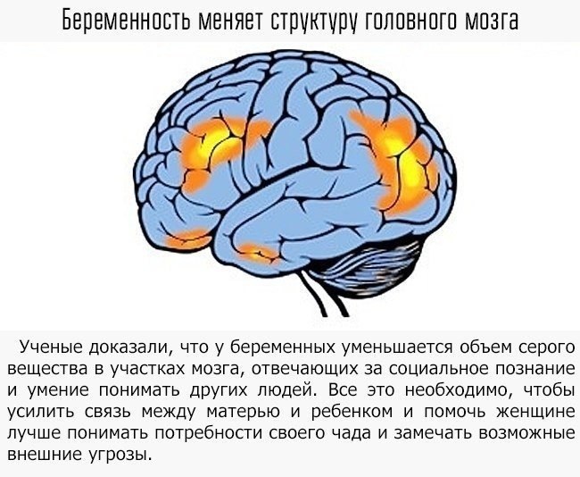    -    .   ,     ... - 2