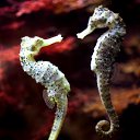 ���� ���������� ��������, �������, 50 ��� - ��������� 21 ������ 2020 � ������ ���� ����������