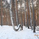 ����������� ����� � �����. �� ������� �� ����.�