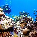 ���� ���������, ������ - ��������� 14 ���� 2020 � ������ ���� ���� ������