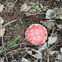 ���� ����, �������, 106 ��� - ��������� 24 ������ 2020 � ������ ���� ����������