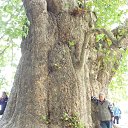 ���� ������� ������������, �����������, 64 ���� - ��������� 21 ����� 2020 � ������ ������� ������ ������������� �������߻