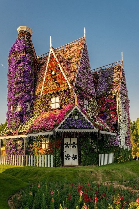   Dubai Miracle Garden - 6