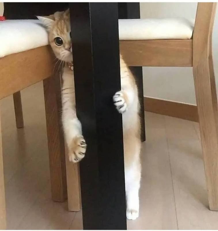        !  ,       ... - 2