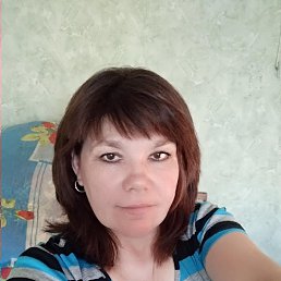 ,  , 51 