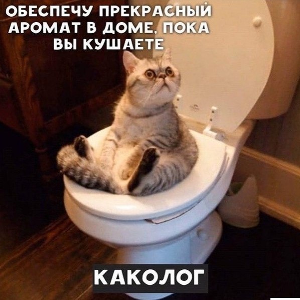 e oo  opoo. - 4