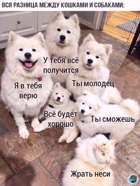  |  |   5 - 5  2020  19:01