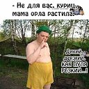 ���� ���������, ������ ��� - ��������� 19 ������ 2020 � ������ ���� ����������