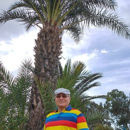 ����, ������, 77 ���