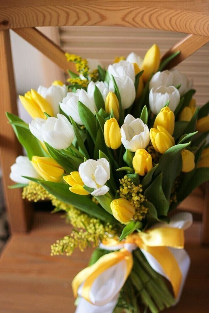 ...  ,         ,  , ... - 5