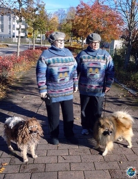    Liis Hietnen  e  o o .   ! - 5