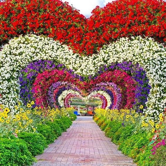    Miracle Garden,  - 2