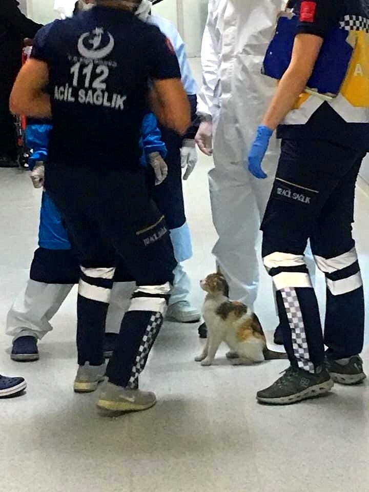  -       .      ... - 2