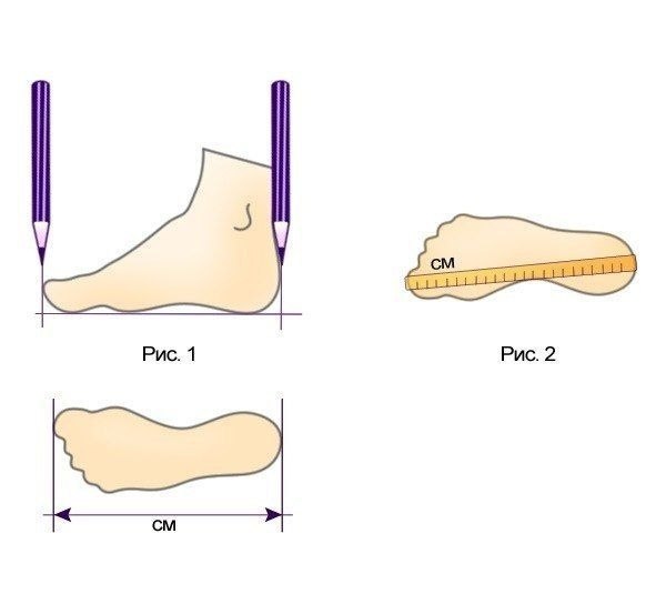     . .  ,      ,  ... - 3