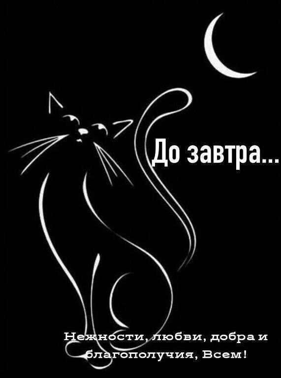   ,    . - 10  2020  21:21 - 7