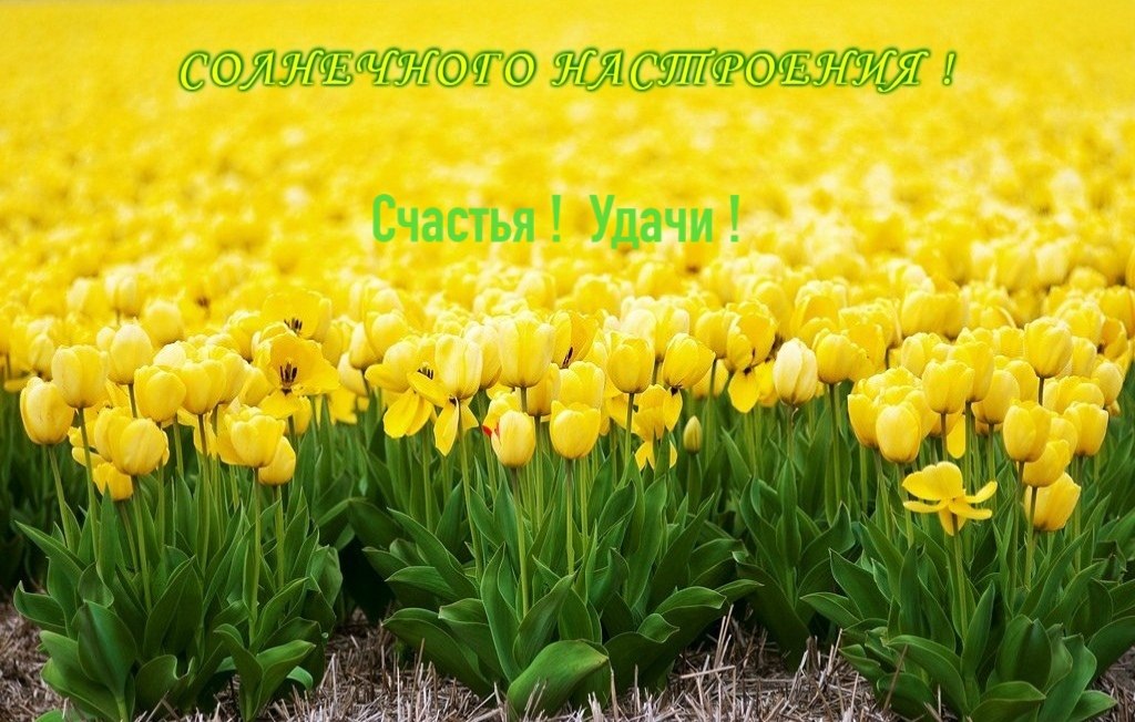   ,    . - 15  2020  14:40