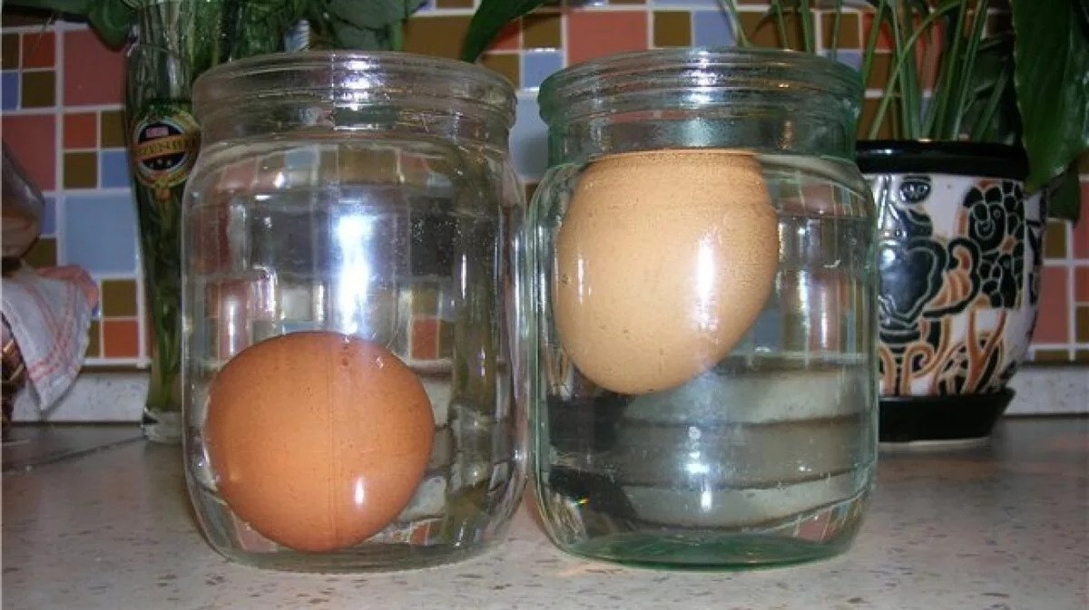 Яйцо поместить в воду. Эксперимент с яйцом и соленой водой. Яйцо в соленой воде. Опыт с яйцом и соленой водой. Опыт с солью и яйцом.