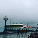 ���� ��������, ���������, 46 ��� - ��������� 5 ������ 2020 � ������ ���� ����������