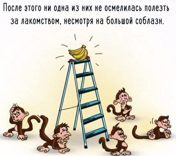 Эксперимент с обезьянами, бананами и ледяной водой. Точно неизвестно, проводился ли он, однако, в ... - 4