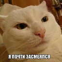 ���� ��� � �����, �������� - ��������� 25 ���� 2020 � ������ ������ ��������