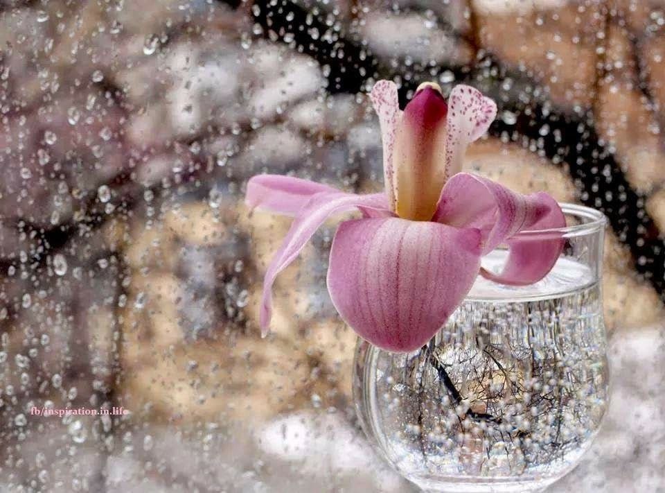 ���� � ������������ ����� ... � ��� �� ��� , � � �� ������� , ��� �� ������ , � �� ������ ... �� ...