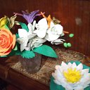 ����� �� ��������� �� ������� ���� ����������