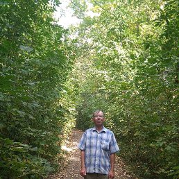 ���� ������, ���������, 66 ��� - ��������� 14 ����� 2020