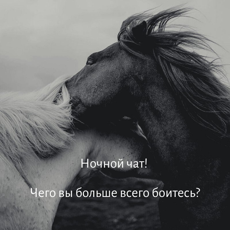   - 4  2020  18:48