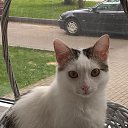 ���� �����, �����, 53 ���� - ��������� 6 ������� 2020 � ������ ������ ��������