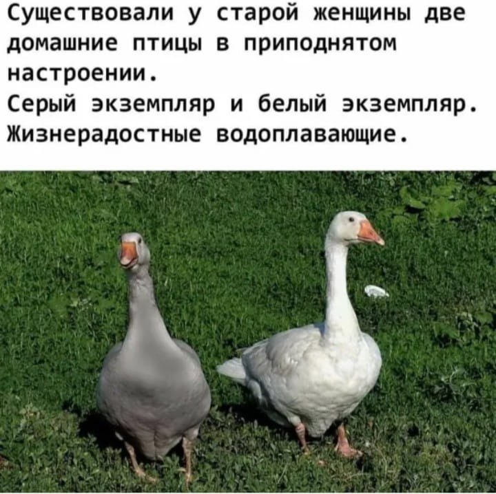   ! - 19  2020  13:43