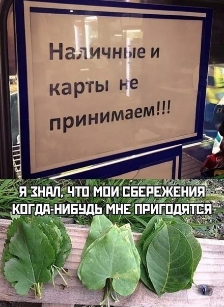 M ye yce epe a ooo?  aca ao aa? M ye yce epe a ooo?  ...