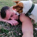 ���� ������, ������������, 41 ��� - ��������� 1 ������ 2020