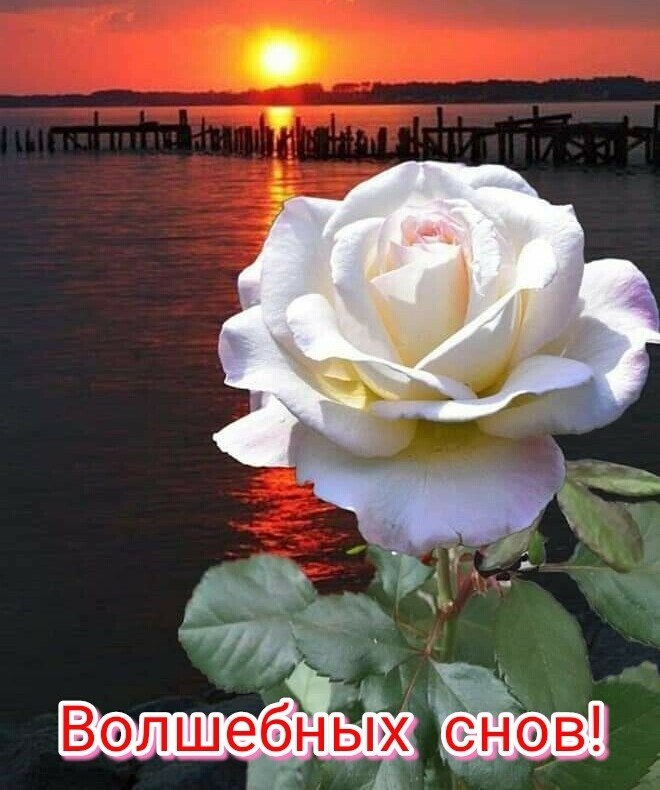   ,    . - 27  2020  22:29 - 3