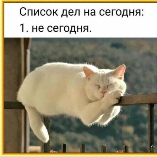  - 17  2020  20:52