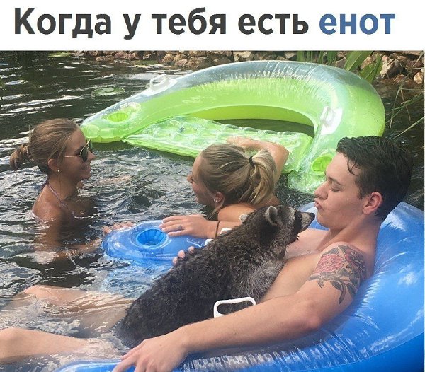 ������� - 16 ������ 2020 � 18:27