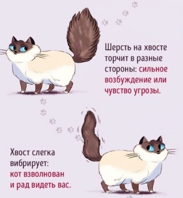    :   - 