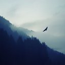 ���� ����, �������, 35 ��� - ��������� 24 ����� 2020