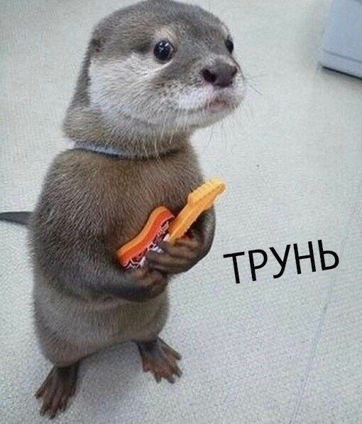          ,       ...