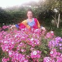 ���� �������, ������, 56 ��� - ��������� 2 ������ 2020 � ������ ���� ����������