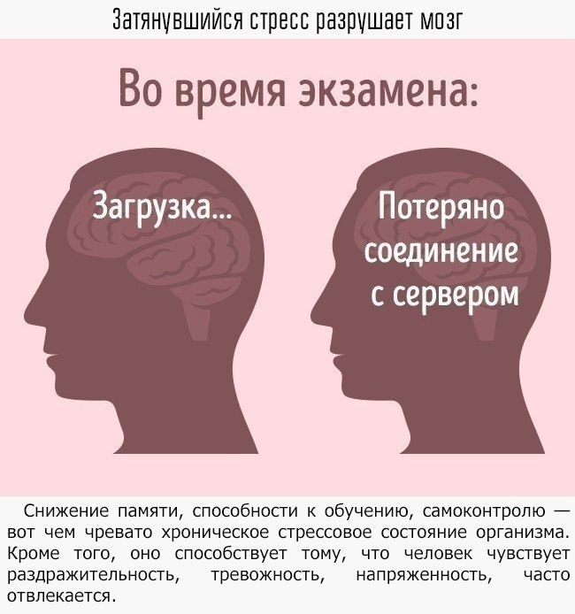    -    .   ,     ... - 7